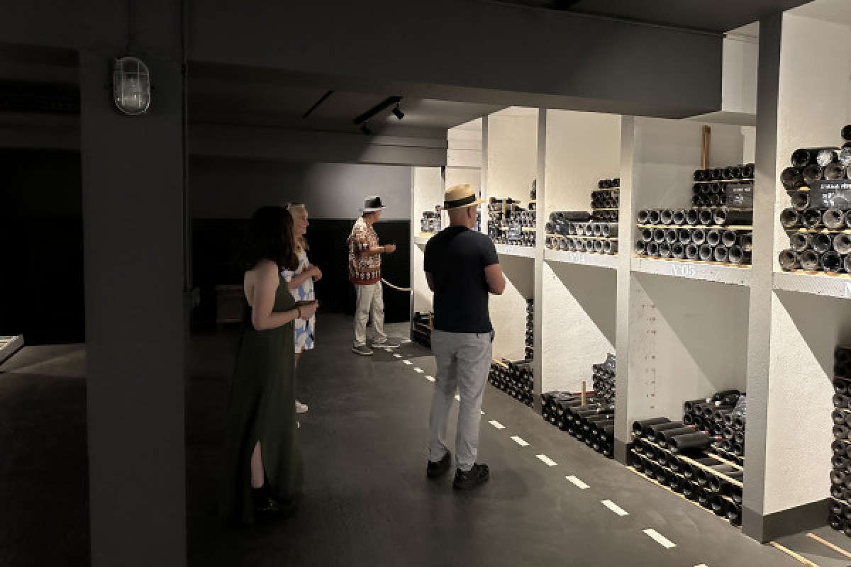 Wine tour Médoc en petit groupe (Mercedes EQV Luxe) - Bonjour Fun