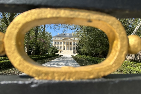 Wine tour Médoc - Bonjour Fun