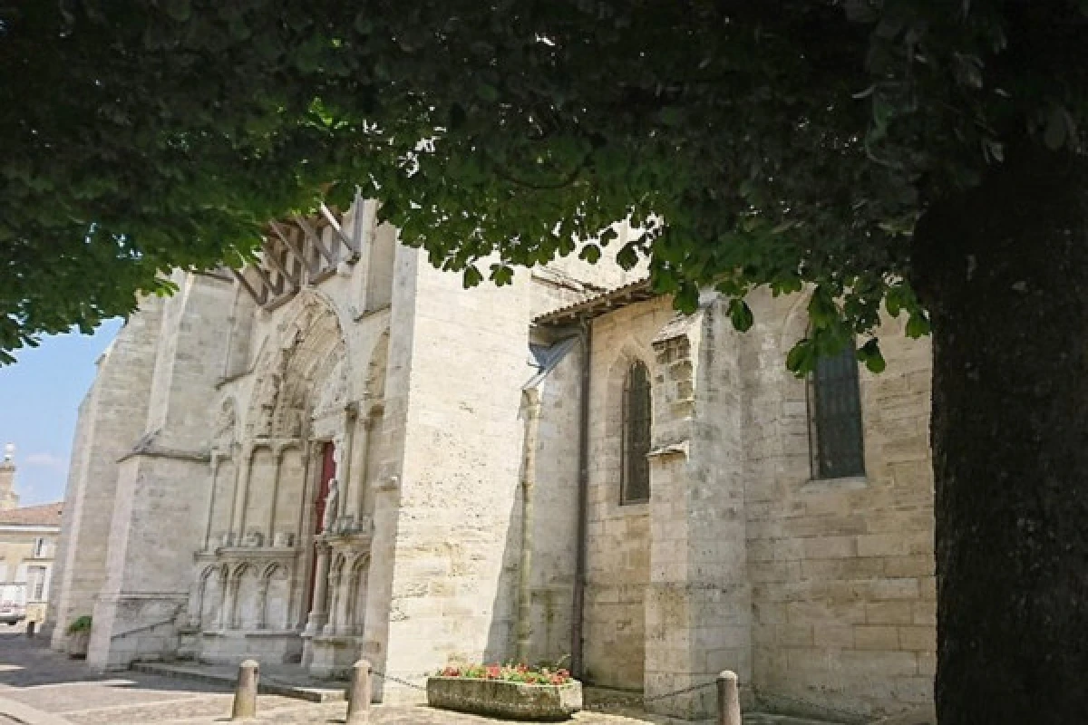 Wine tour St-Emilion petit groupe (Mercedes EQV Luxe) - Bonjour Fun