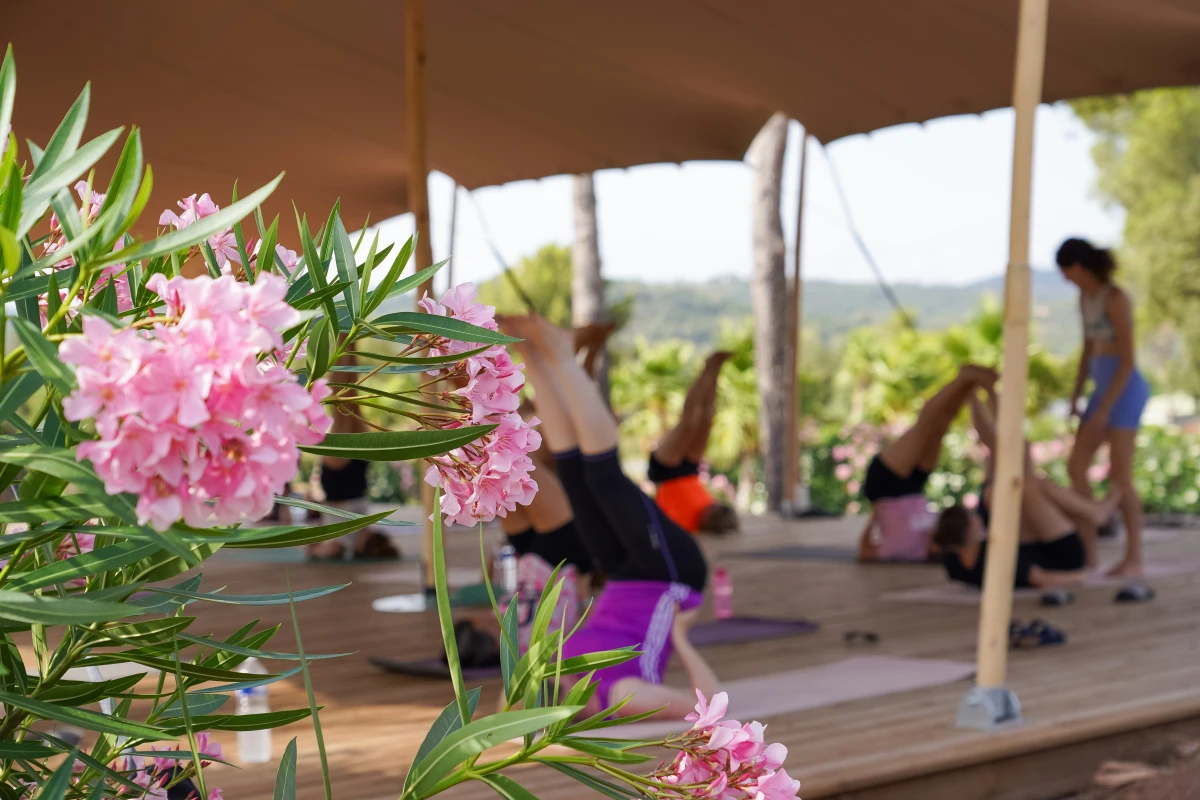 Yoga & Healthy Food Retreats - Bonjour Fun
